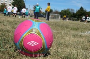 开云官网-明星皇牌：本季最火爆的球员全名单，2021年最火的球星